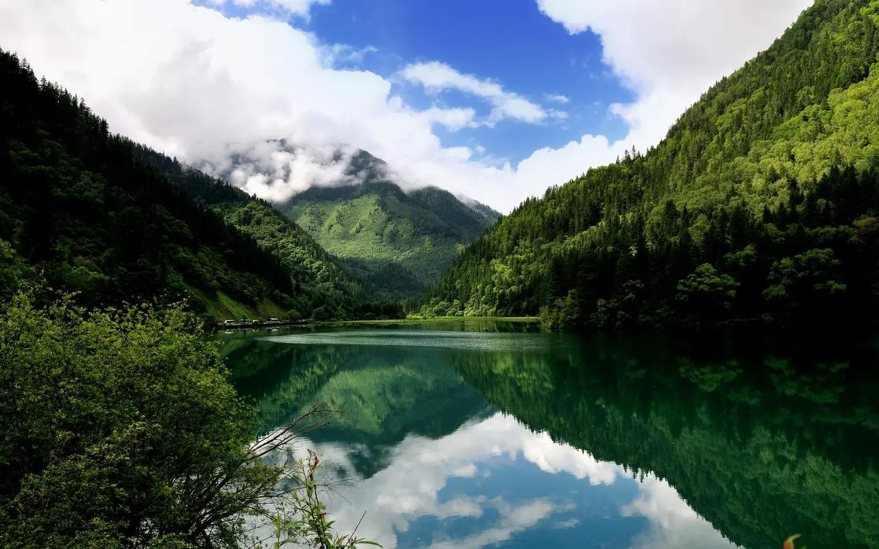 绿色高性能